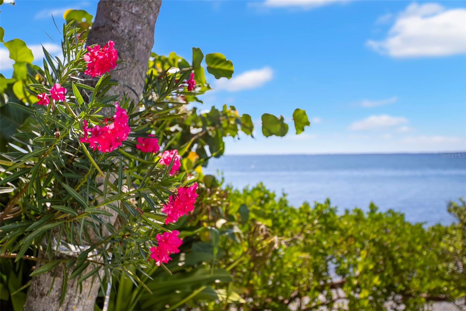 6199 54TH St ST PETERSBURG, FL 33715