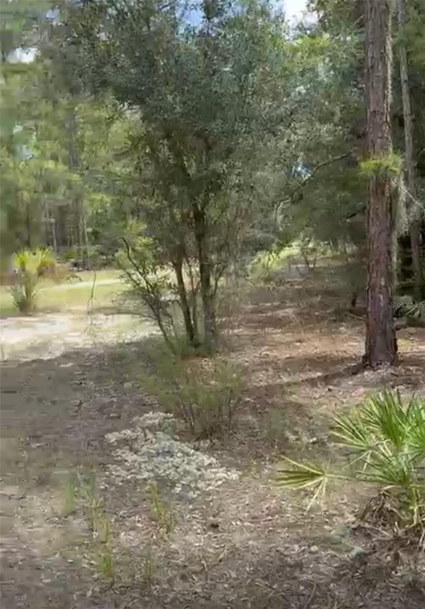 ORCHID Dr INDIAN LAKE ESTATES, FL 33855