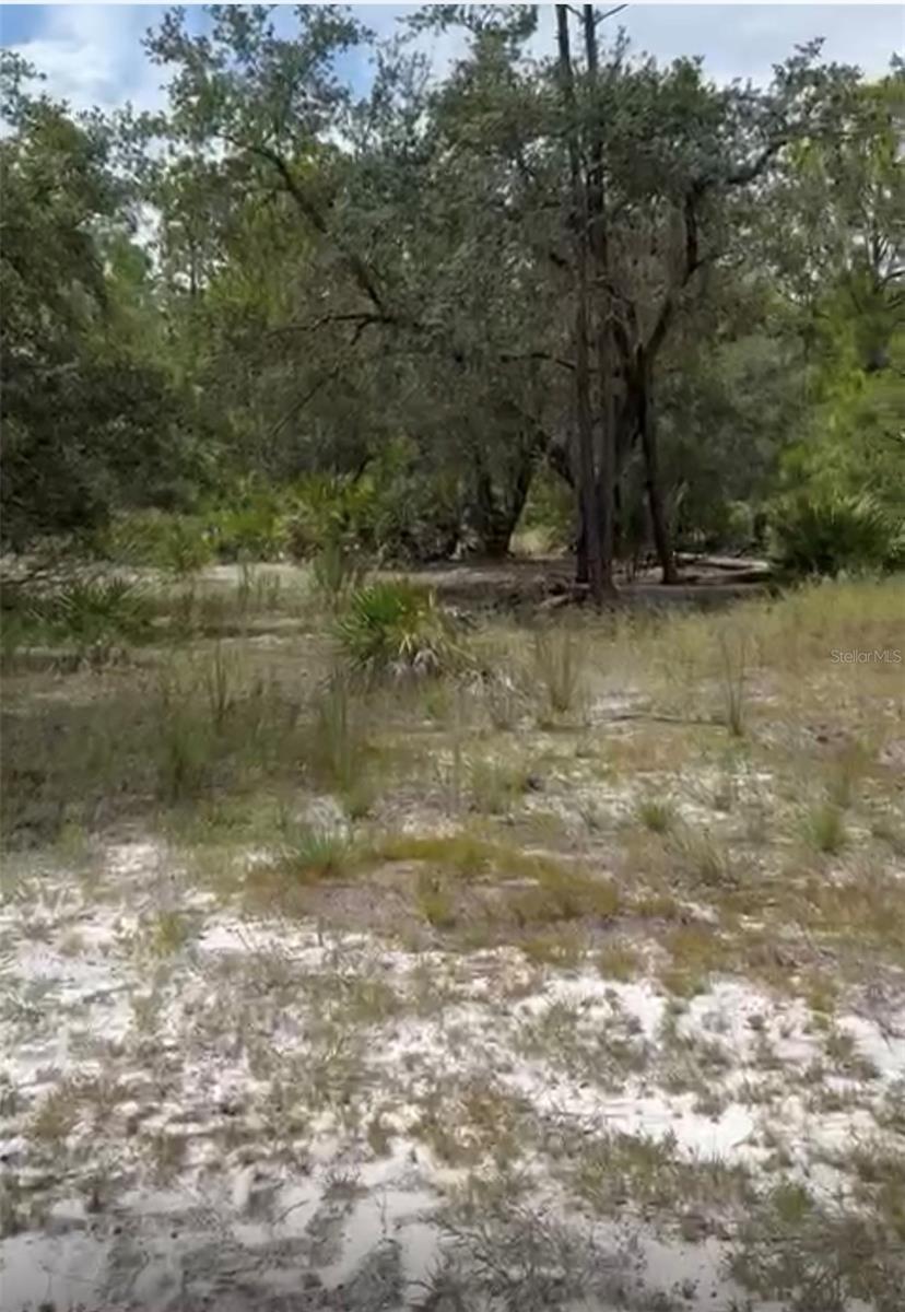 ORCHID Dr INDIAN LAKE ESTATES, FL 33855