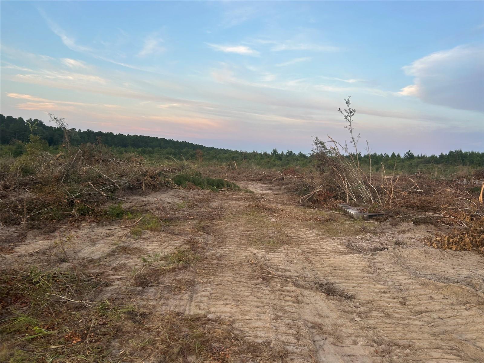 1520 N Hwy 181 WESTVILLE, FL 32464