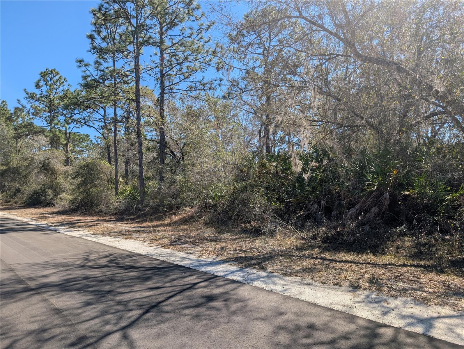 1211 PINNATA Dr INDIAN LAKE ESTATES, FL 33855