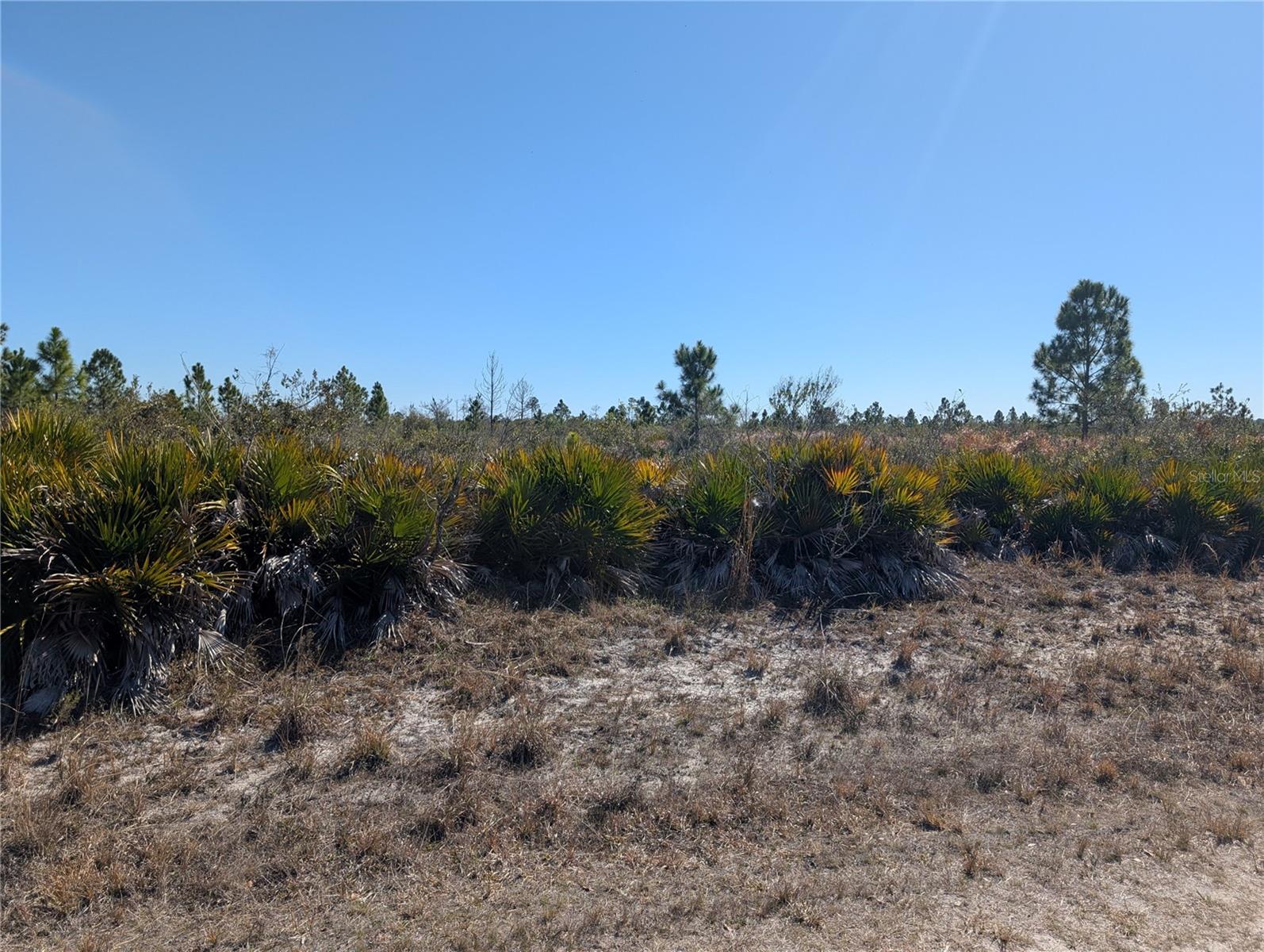 1211 PINNATA Dr INDIAN LAKE ESTATES, FL 33855