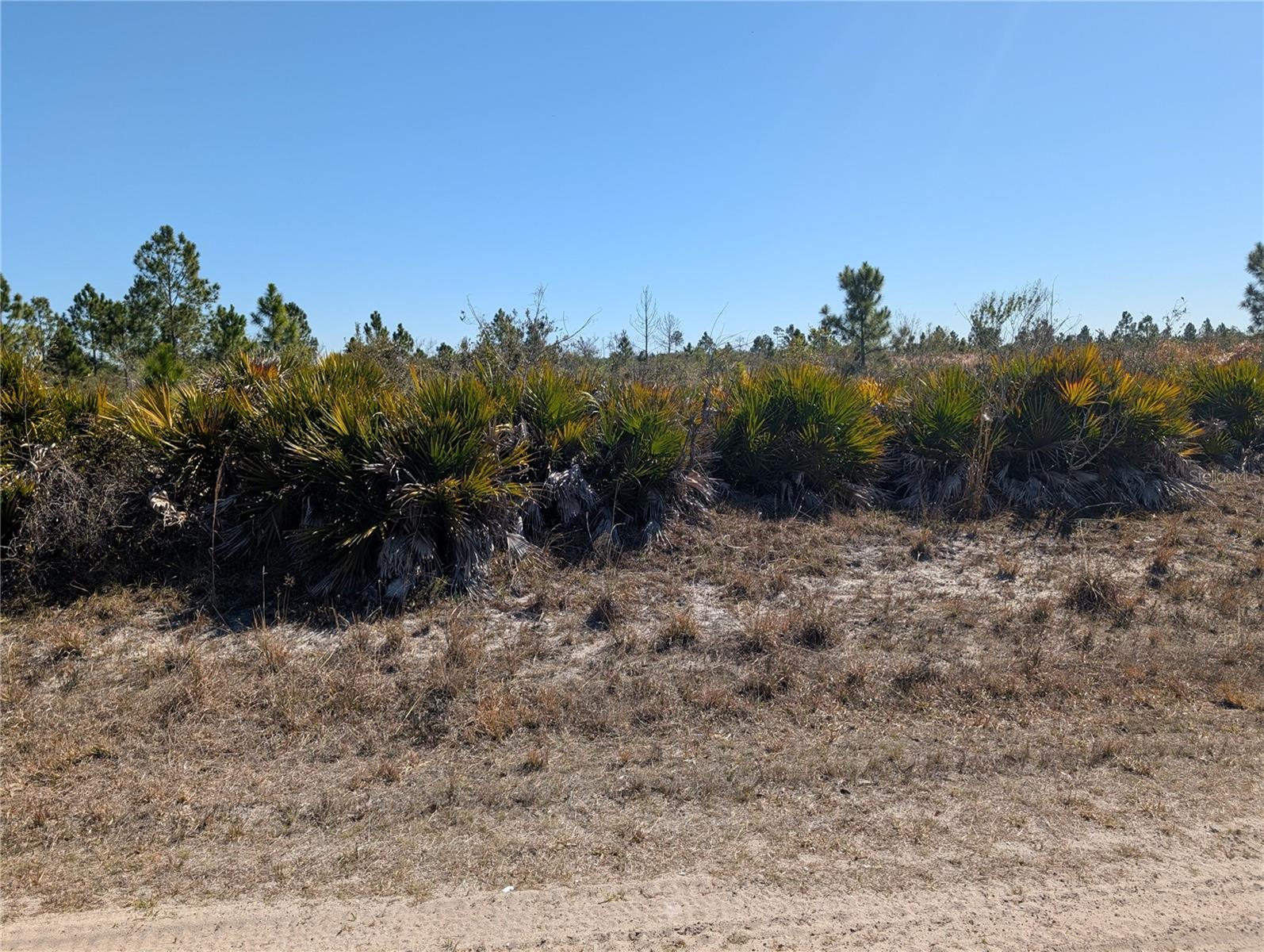 1211 PINNATA Dr INDIAN LAKE ESTATES, FL 33855