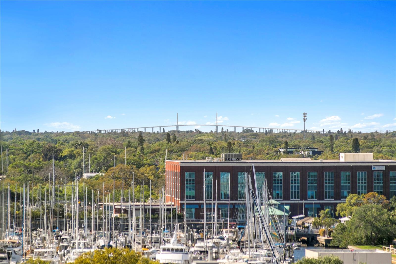 199 DALI Blvd #1002 ST PETERSBURG, FL 33701