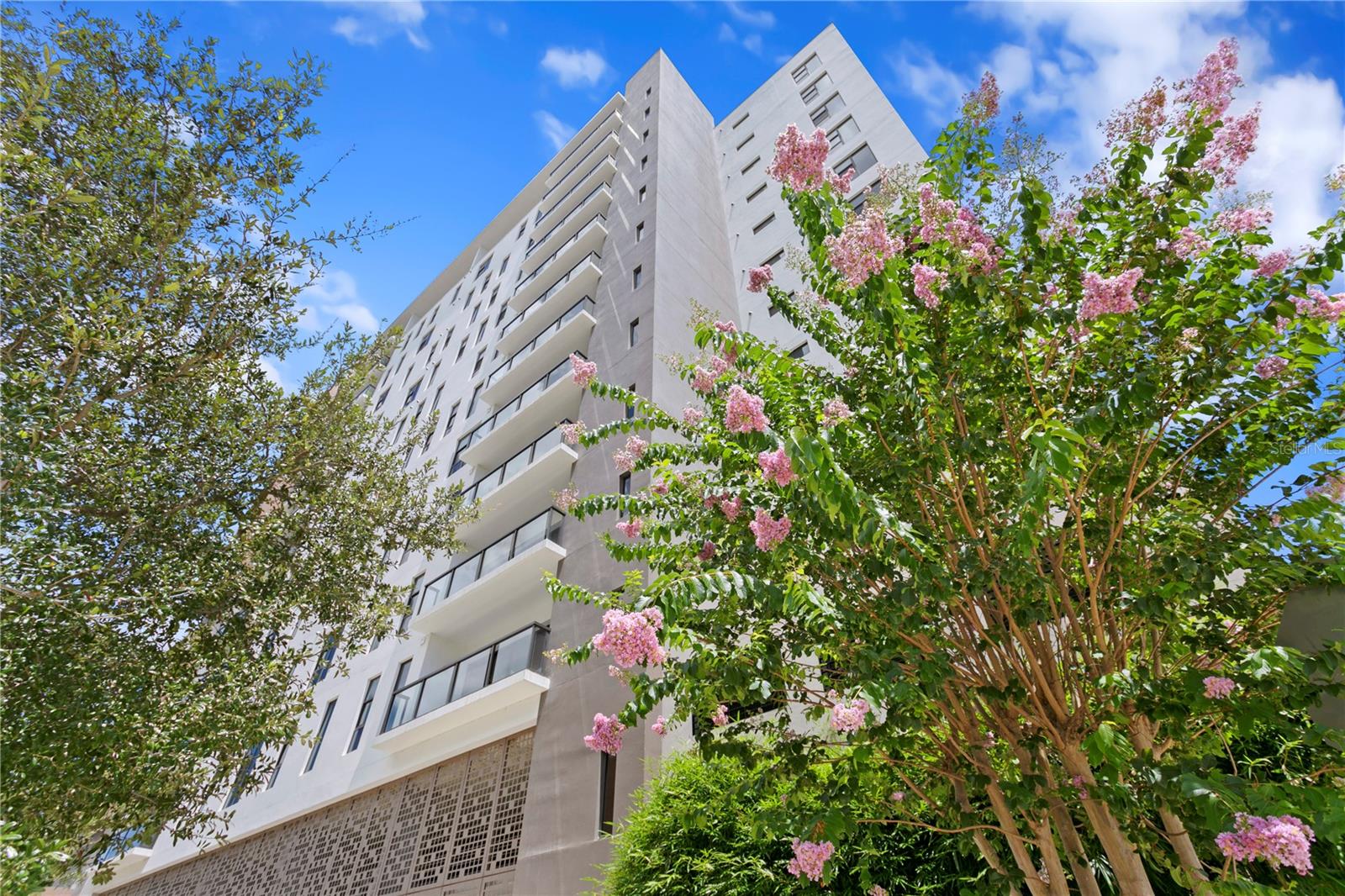 199 DALI Blvd #1002 ST PETERSBURG, FL 33701