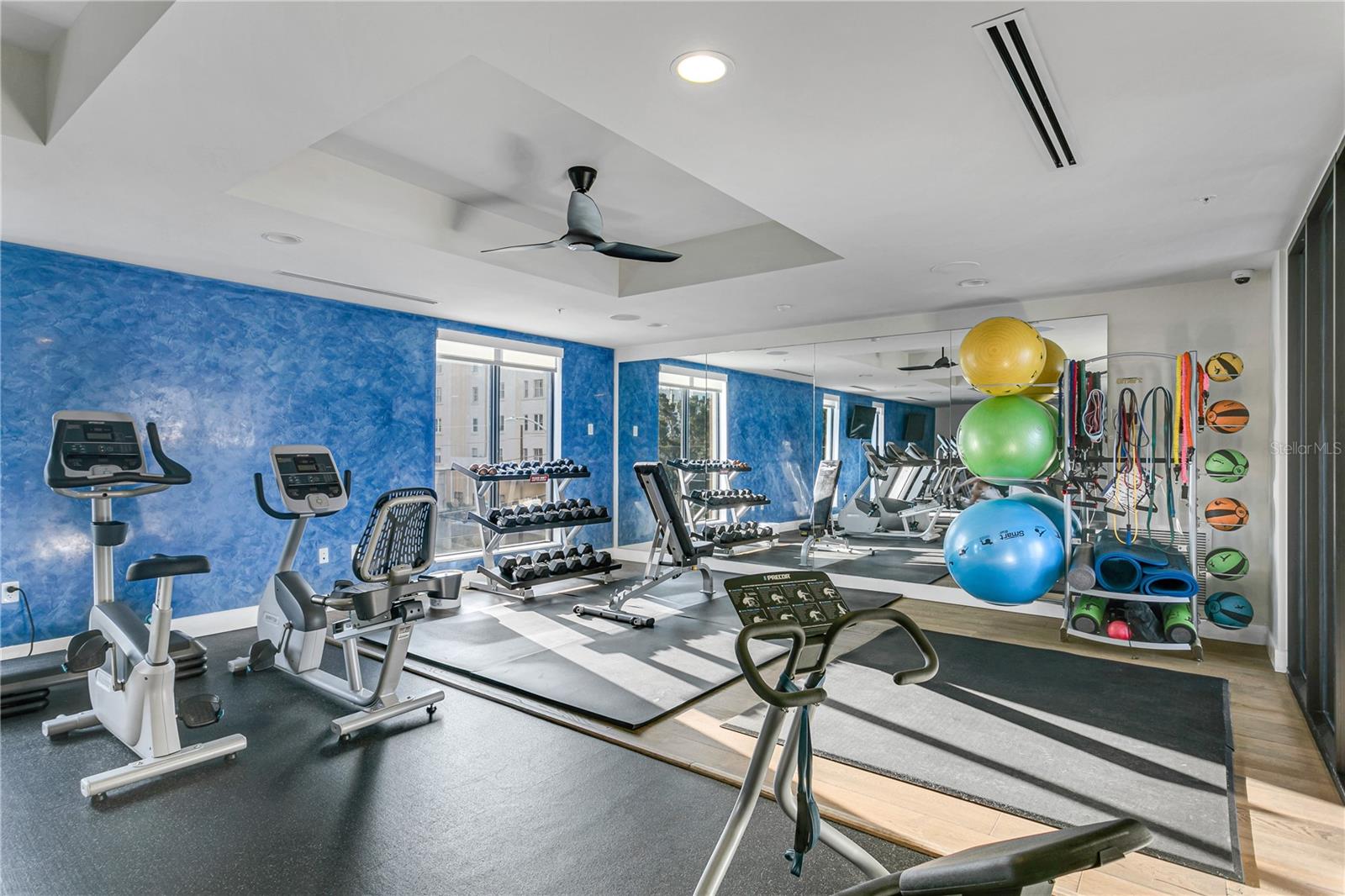 199 DALI Blvd #1002 ST PETERSBURG, FL 33701