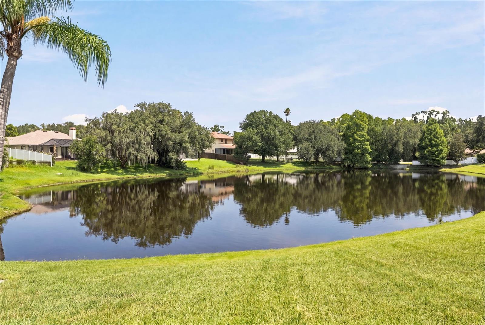 23427 PINE Lk St LAND O LAKES, FL 34639
