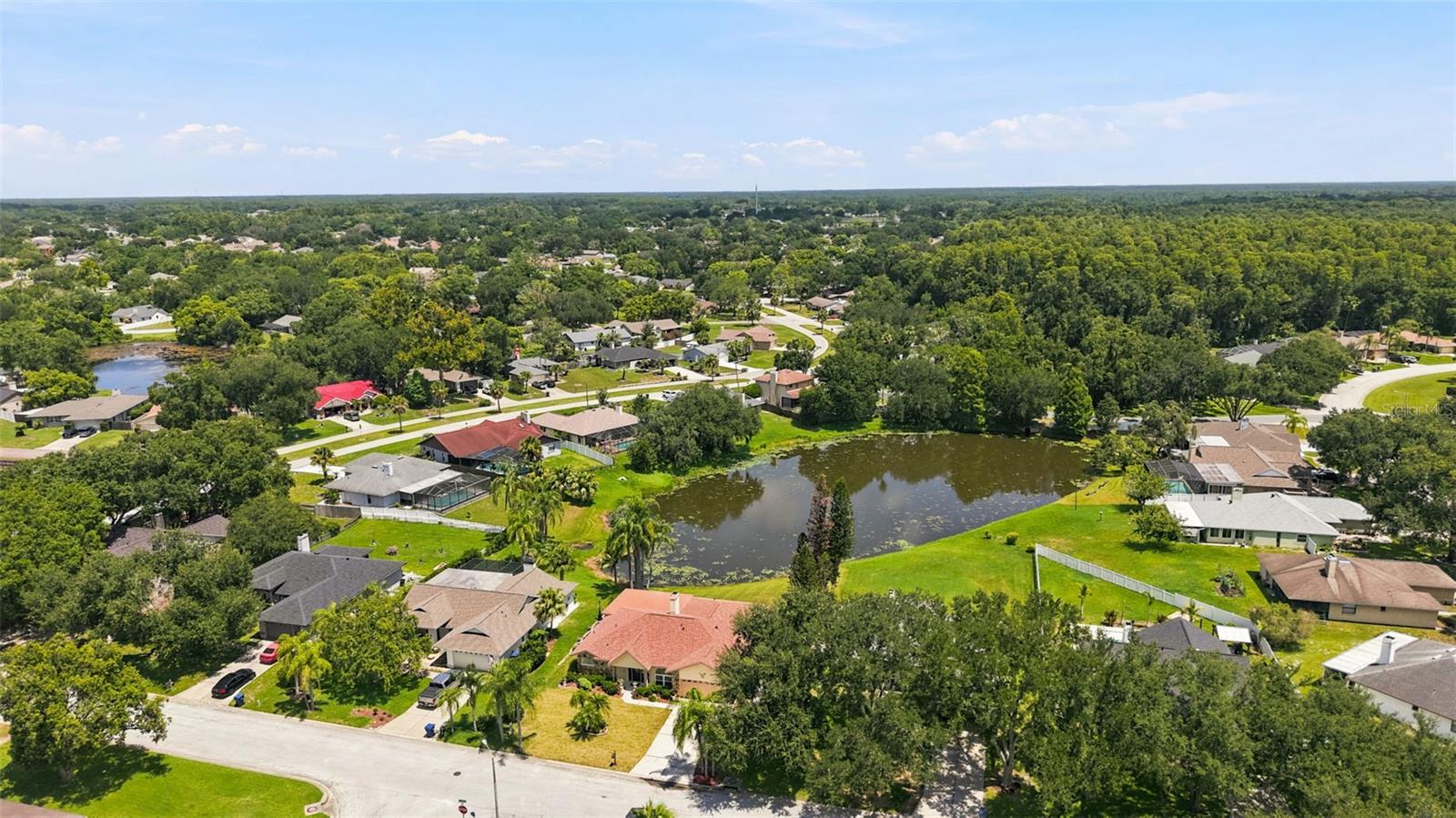 23427 PINE Lk St LAND O LAKES, FL 34639