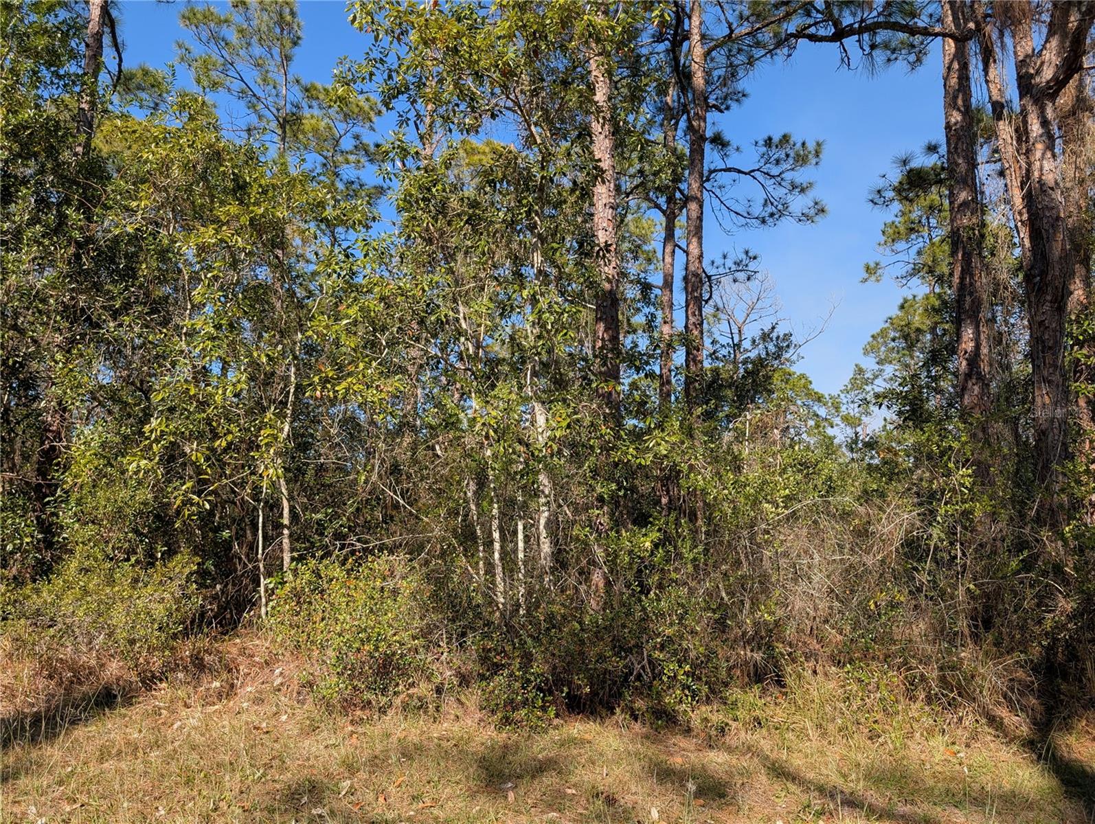 220 PANDORA Dr INDIAN LAKE ESTATES, FL 33855