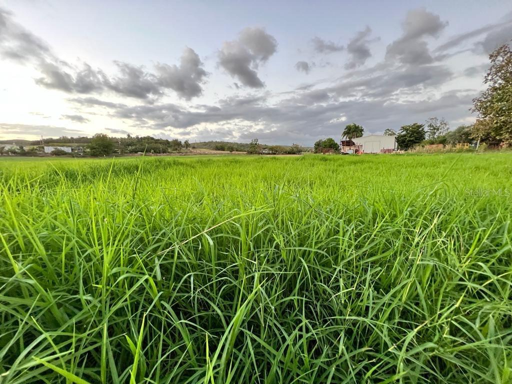 PR-335 KM 103rd BO INDIOS GUAYANILLA, PR 00656