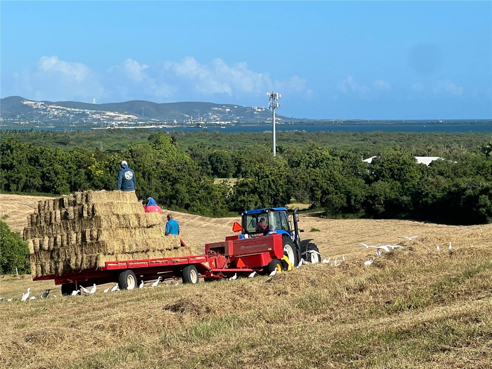 PR-335 KM 103rd BO INDIOS GUAYANILLA, PR 00656