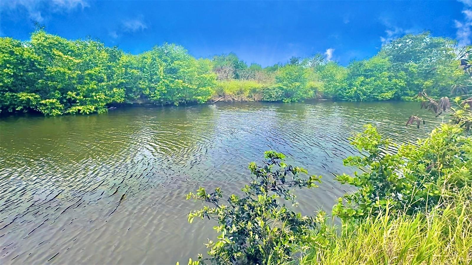 PR-335 KM 103rd BO INDIOS GUAYANILLA, PR 00656