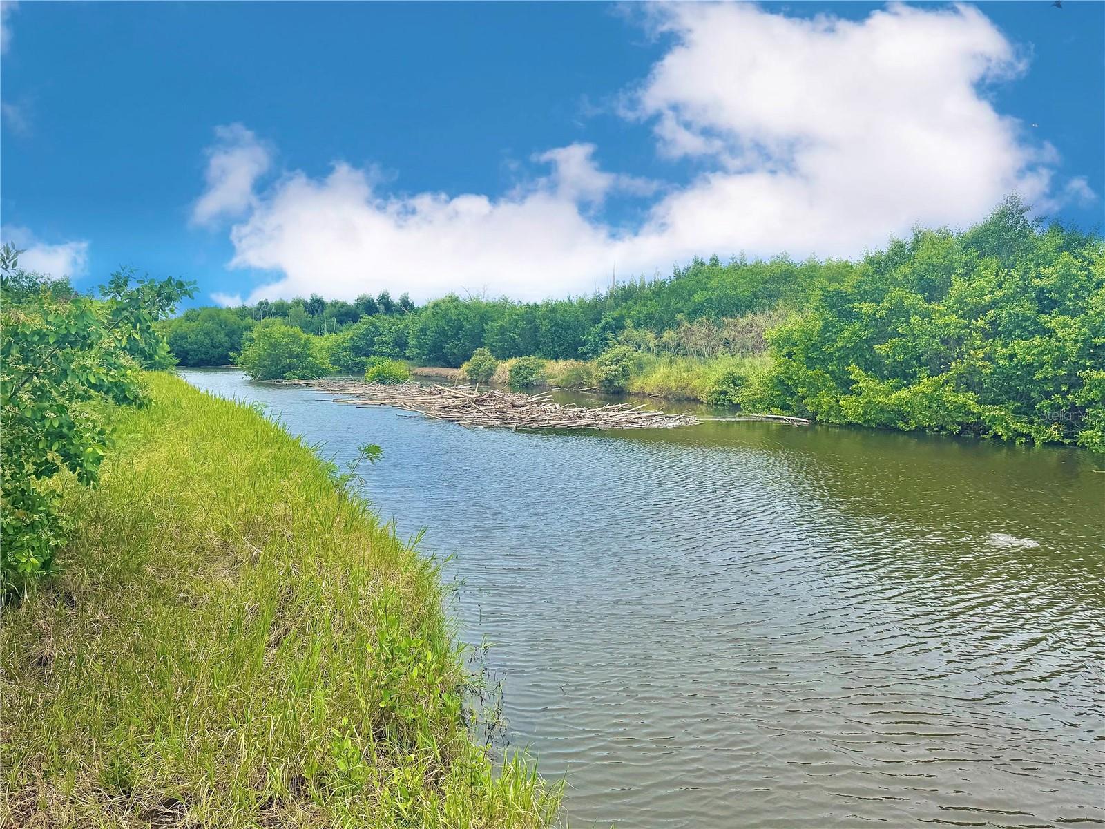 PR-335 KM 103rd BO INDIOS GUAYANILLA, PR 00656