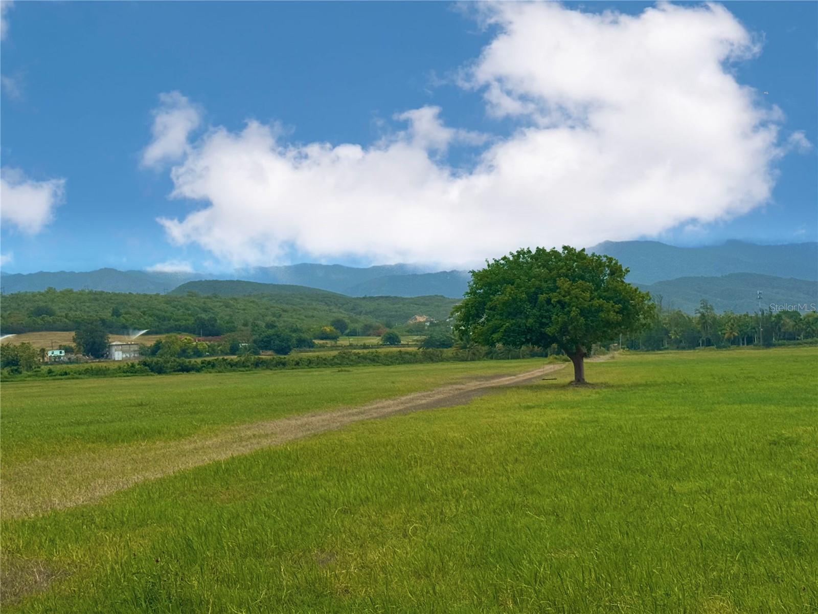 PR-335 KM 103rd BO INDIOS GUAYANILLA, PR 00656