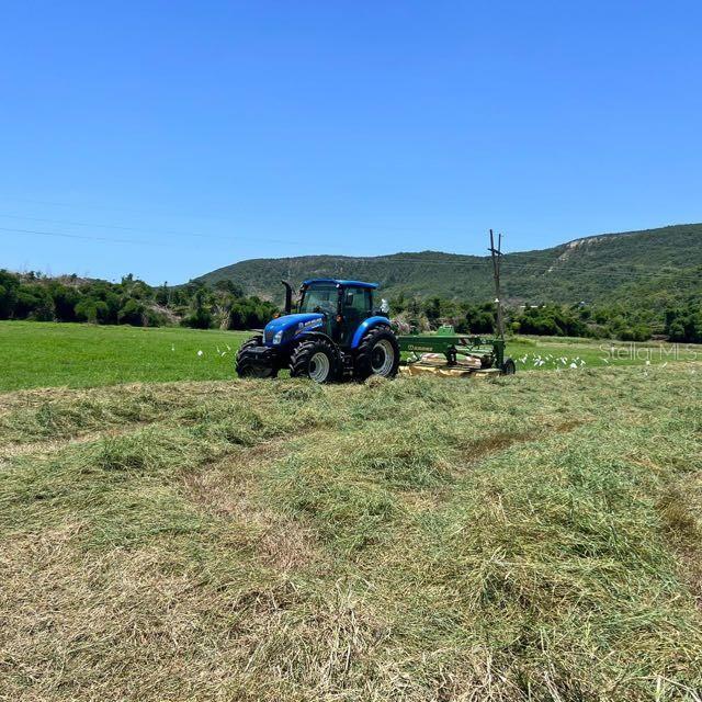 PR-335 KM 103rd BO INDIOS GUAYANILLA, PR 00656