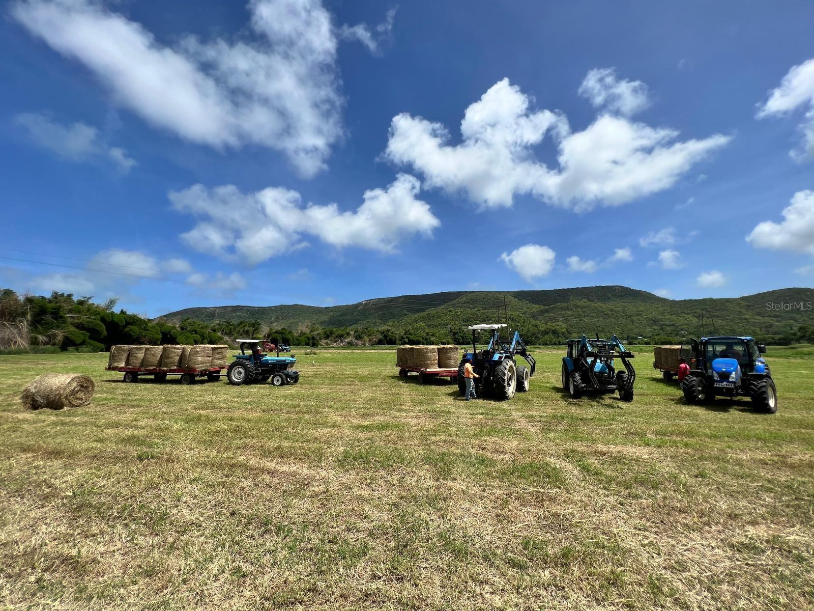 PR-335 KM 103rd BO INDIOS GUAYANILLA, PR 00656