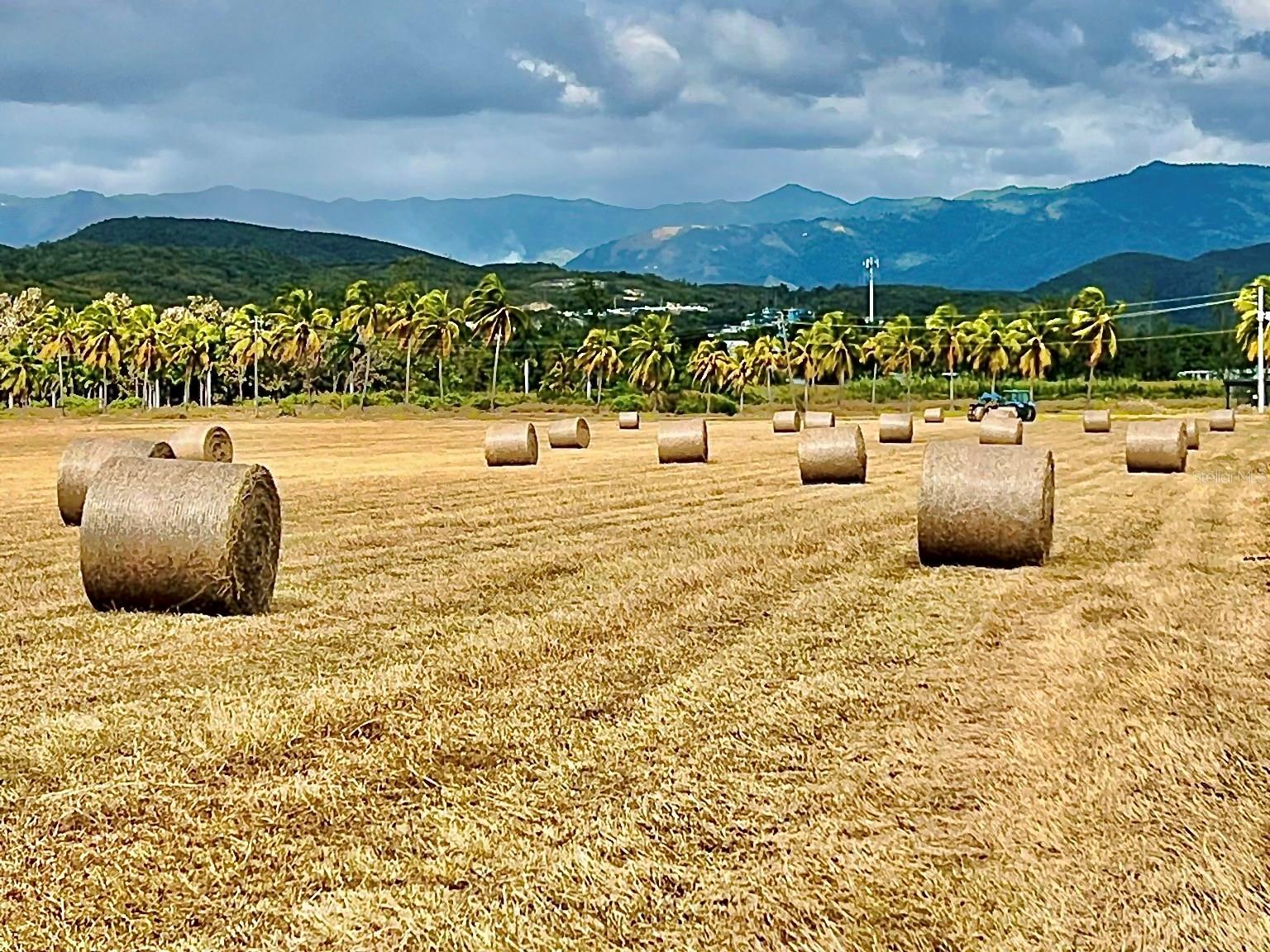 PR-335 KM 103rd BO INDIOS GUAYANILLA, PR 00656