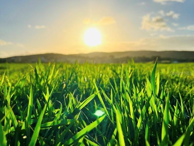 PR-335 KM 103rd BO INDIOS GUAYANILLA, PR 00656