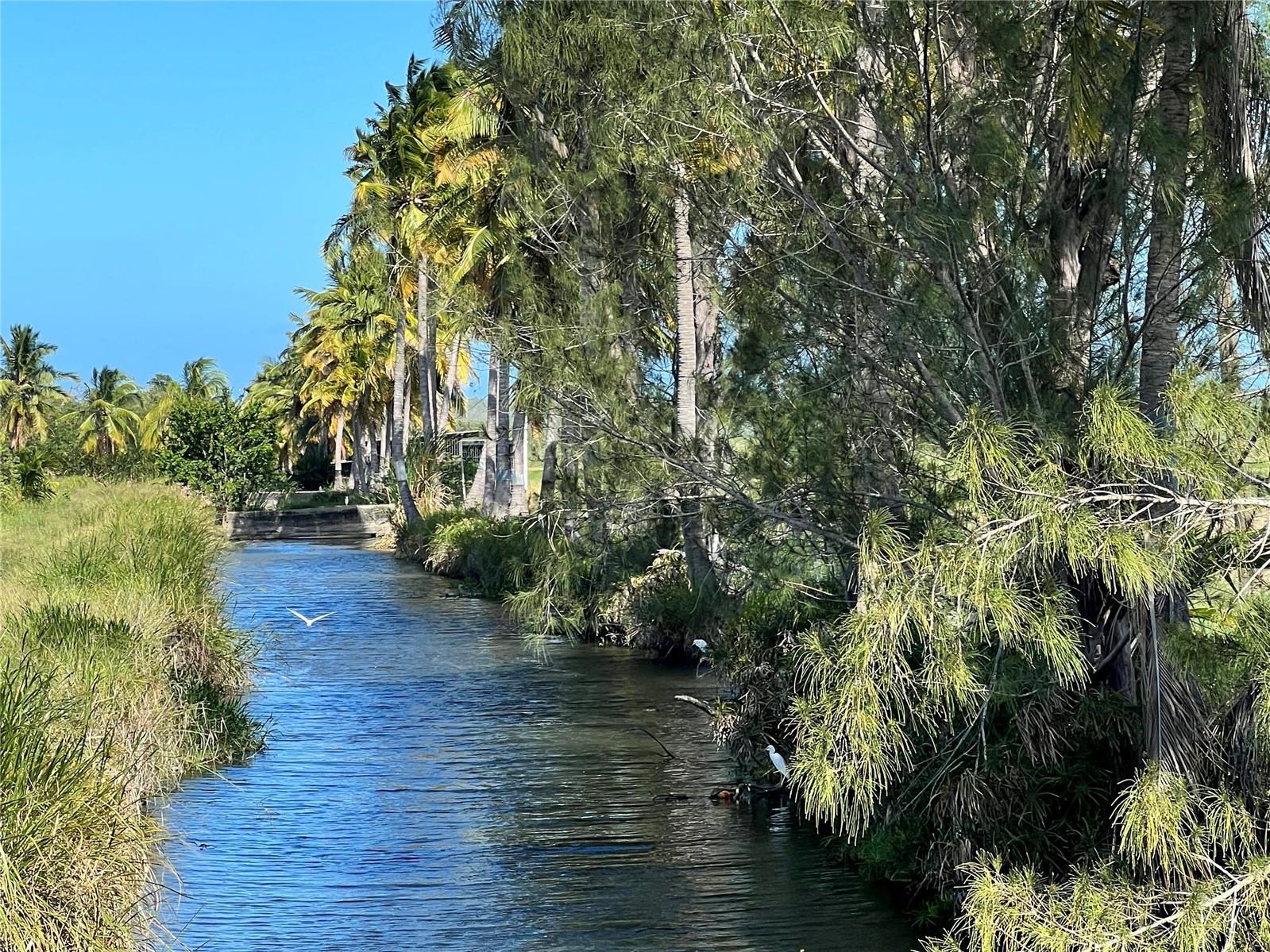 PR-335 KM 103rd BO INDIOS GUAYANILLA, PR 00656