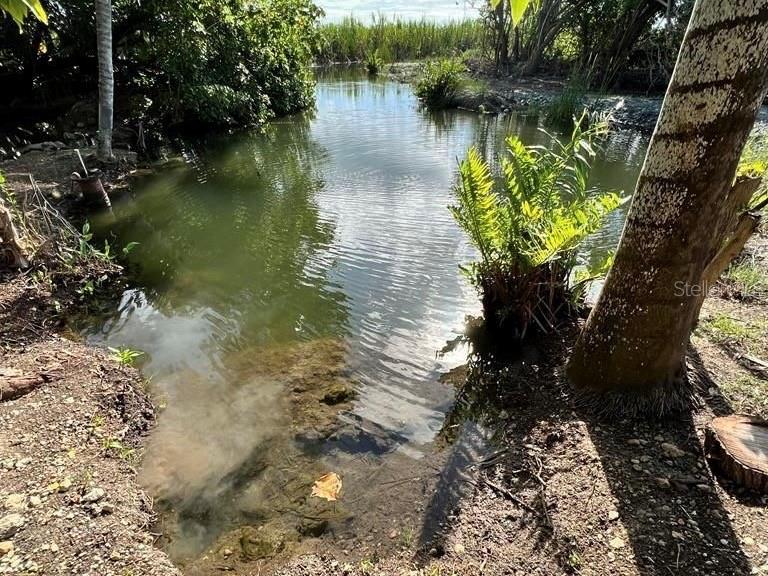 PR-335 KM 103rd BO INDIOS GUAYANILLA, PR 00656