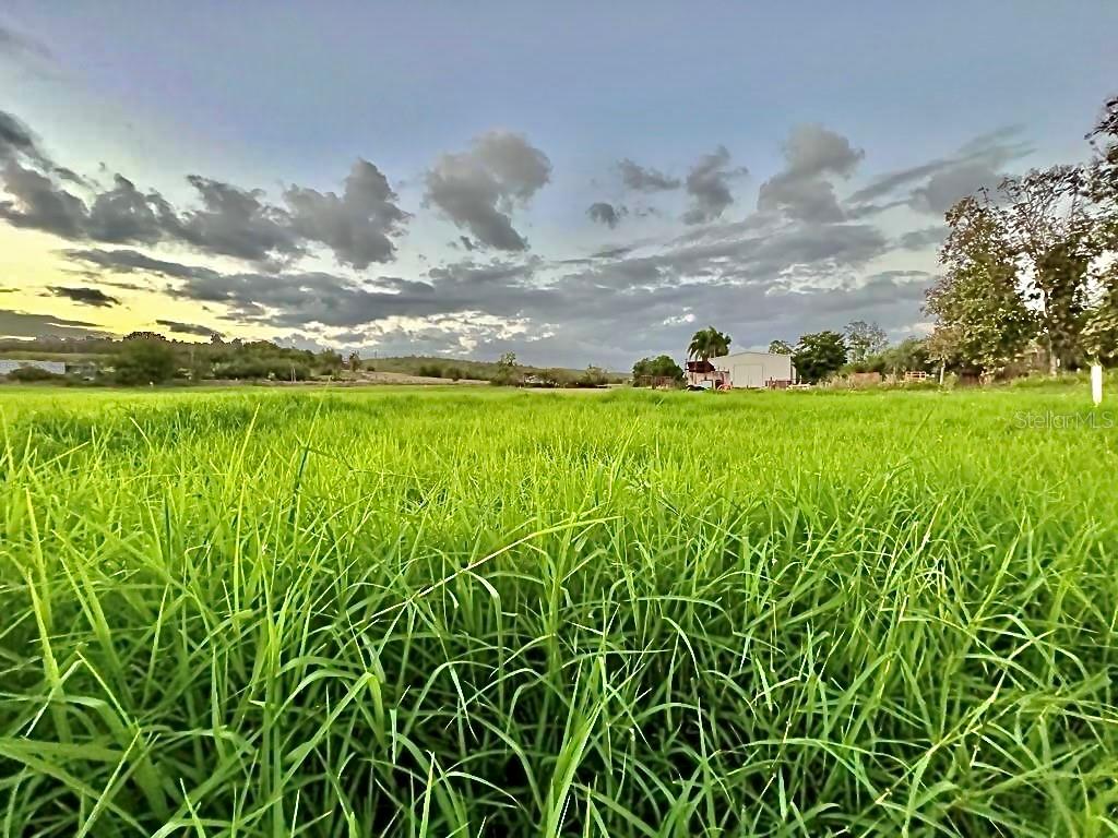 PR-335 KM 103rd BO INDIOS GUAYANILLA, PR 00656