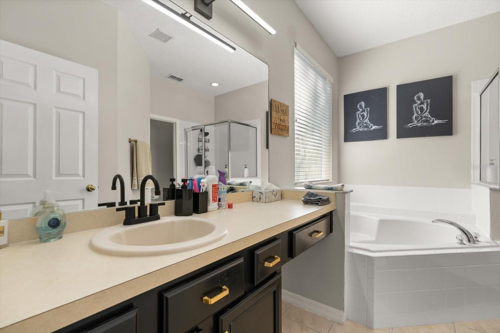 4651 GOLDEN Bch Ct KISSIMMEE, FL 34746