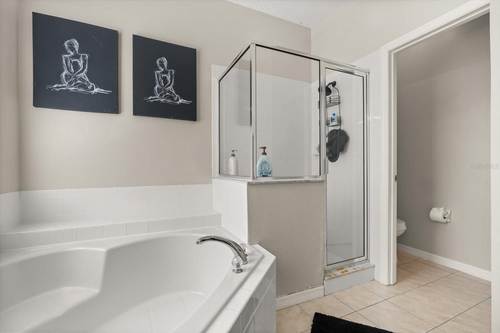 4651 GOLDEN Bch Ct KISSIMMEE, FL 34746