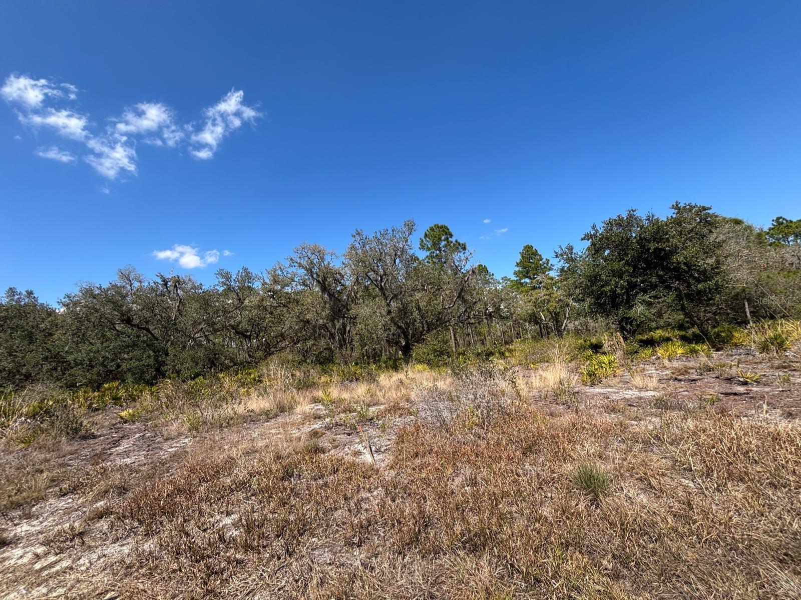 1006 PALM Ave INDIAN LAKE ESTATES, FL 33855