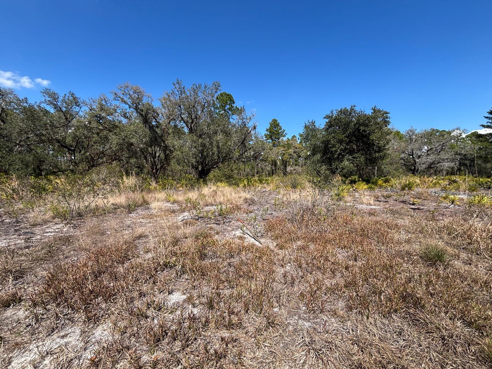 1006 PALM Ave INDIAN LAKE ESTATES, FL 33855