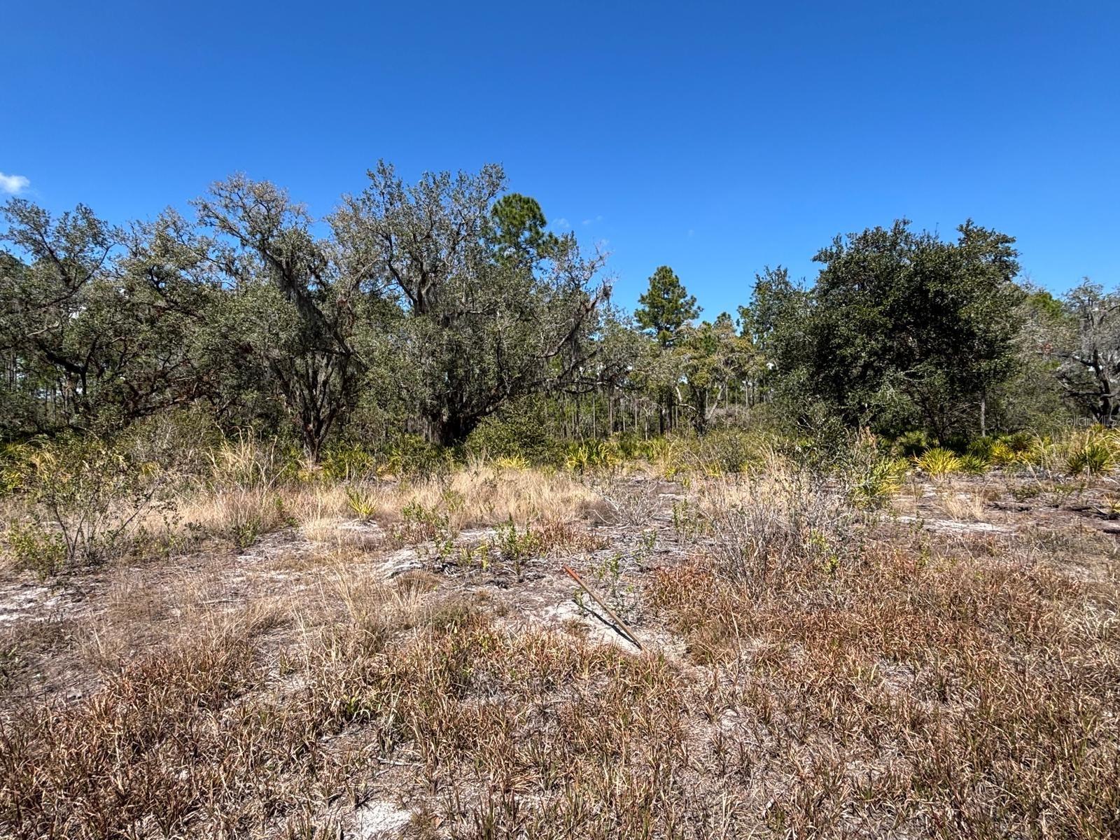 1006 PALM Ave INDIAN LAKE ESTATES, FL 33855