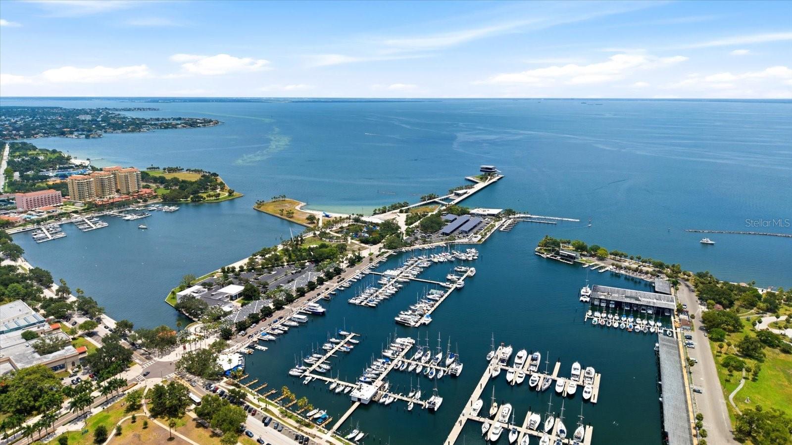 275 1ST Ave #3308 ST PETERSBURG, FL 33701