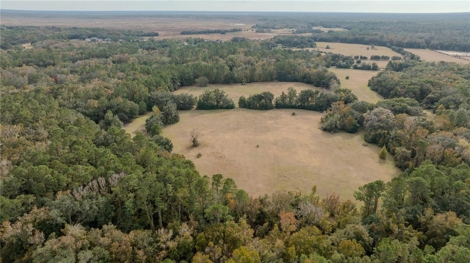 4068 SW 62ND Ave GAINESVILLE, FL 32608