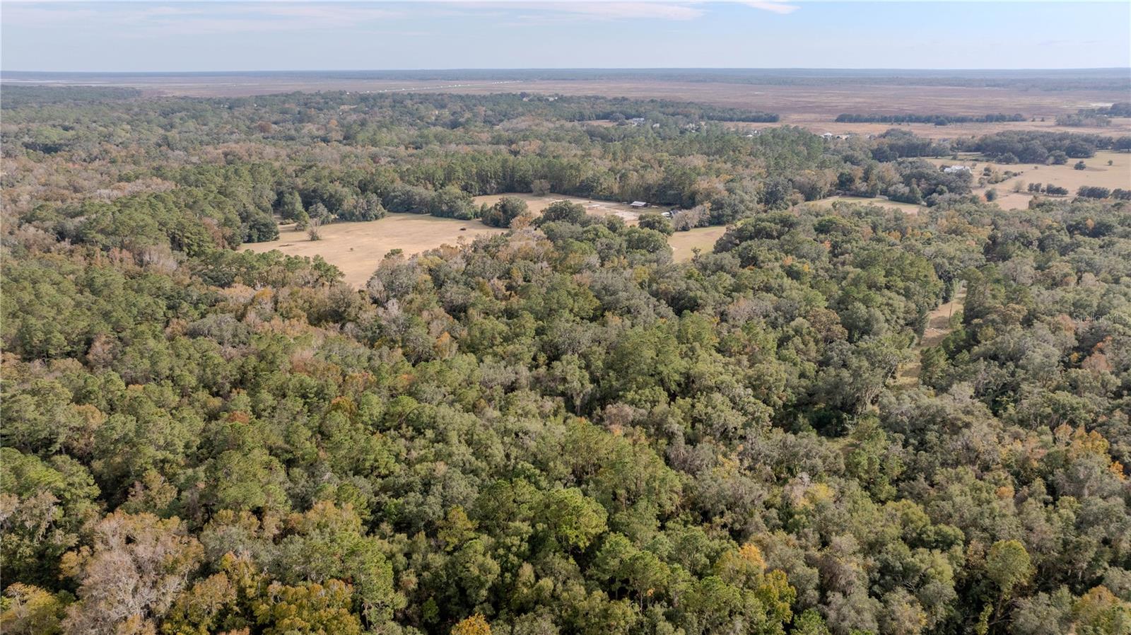 4068 SW 62ND Ave GAINESVILLE, FL 32608