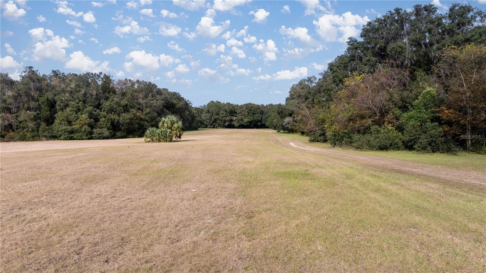 4068 SW 62ND Ave GAINESVILLE, FL 32608