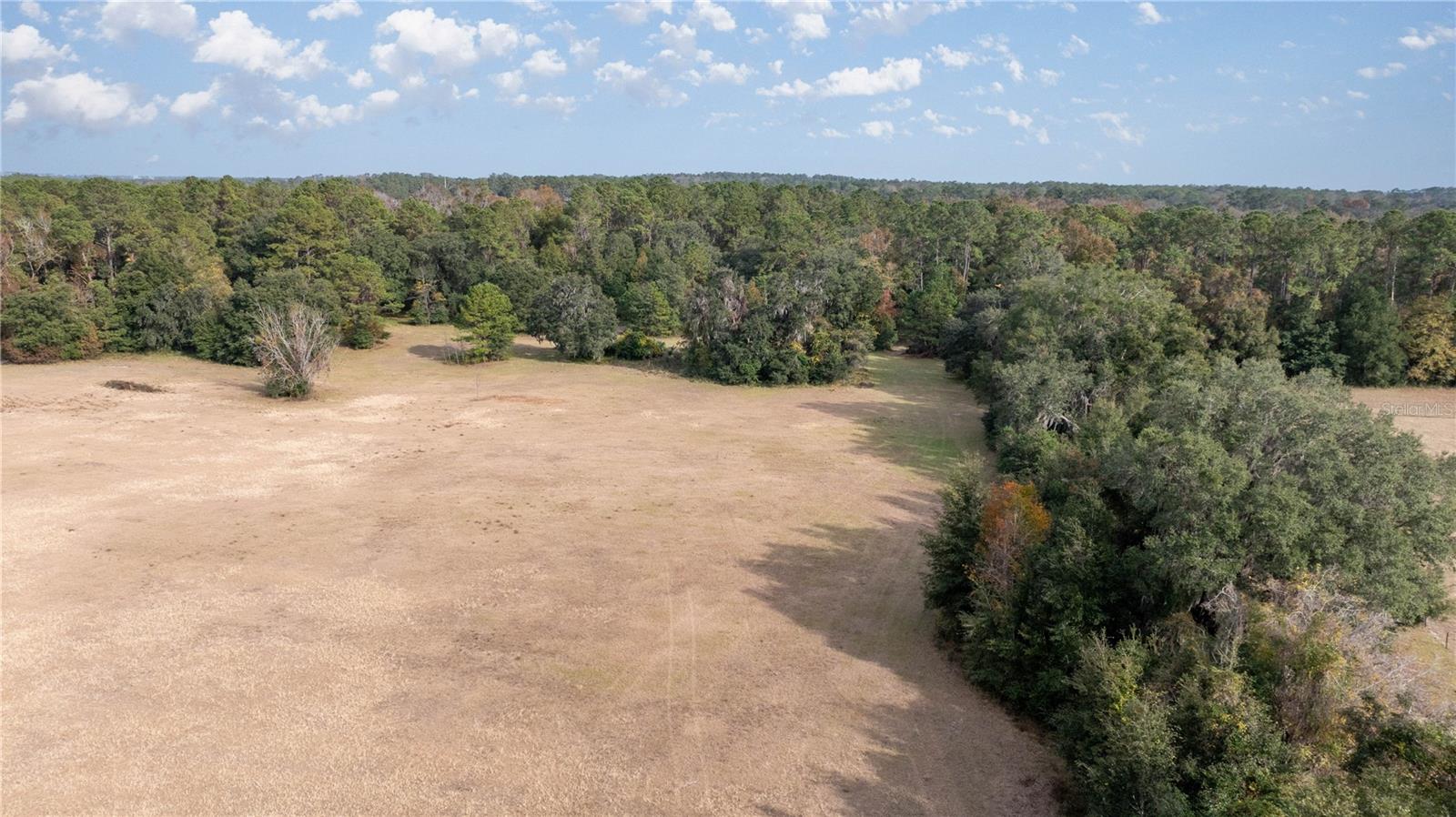 4068 SW 62ND Ave GAINESVILLE, FL 32608