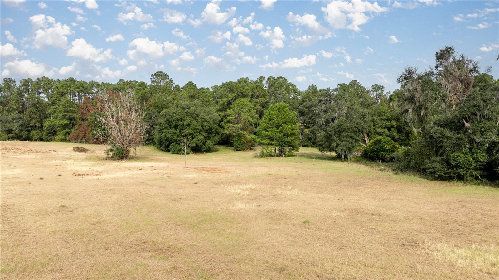 4068 SW 62ND Ave GAINESVILLE, FL 32608