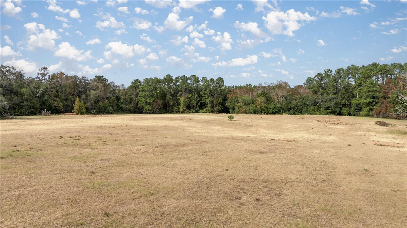 4068 SW 62ND Ave GAINESVILLE, FL 32608