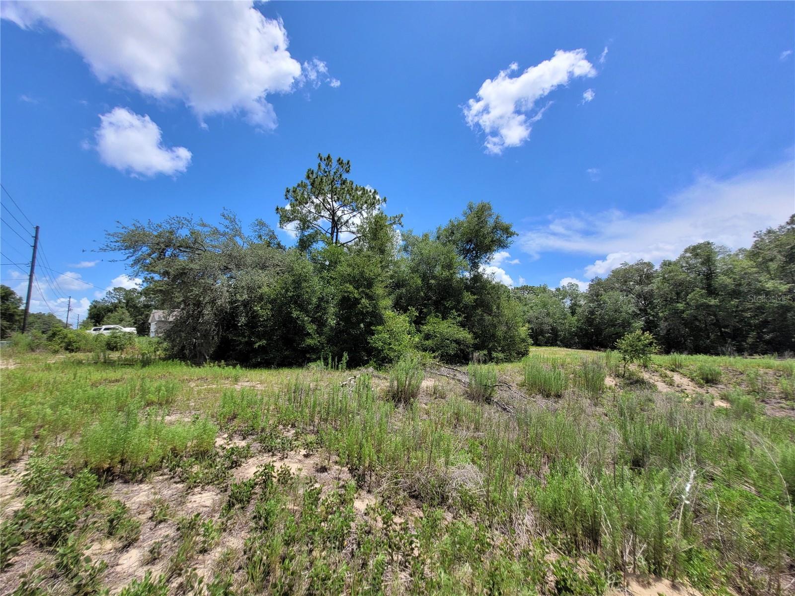 0th SW 204TH Ave (LOT 6) DUNNELLON, FL 34431