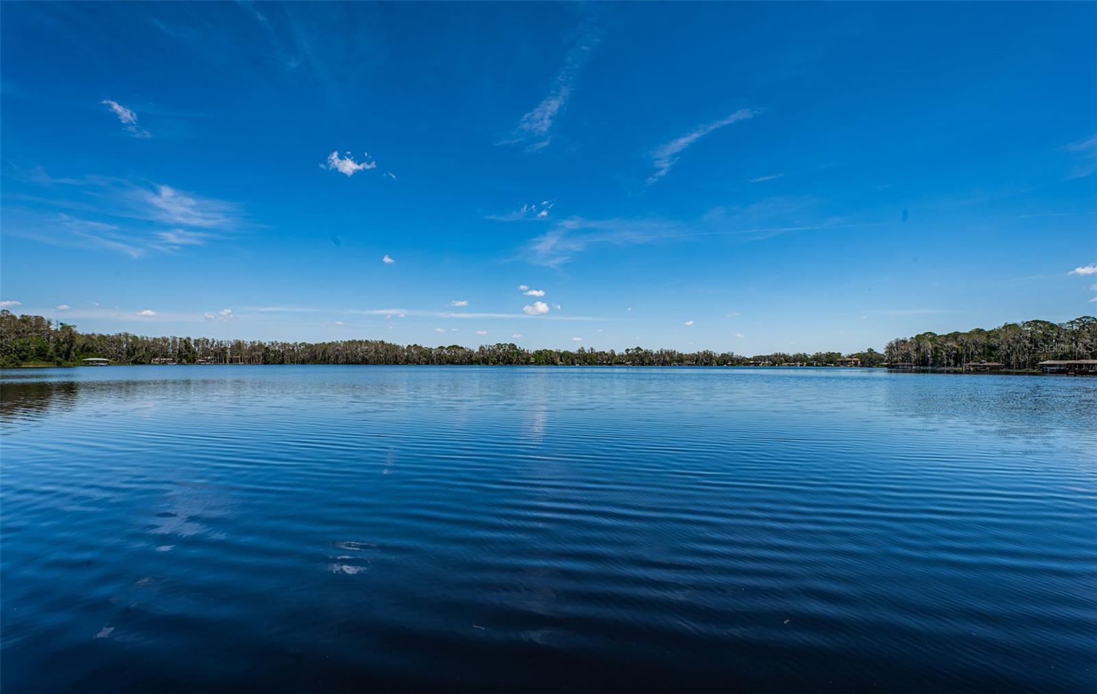 18725 JIRETZ Rd ODESSA, FL 33556