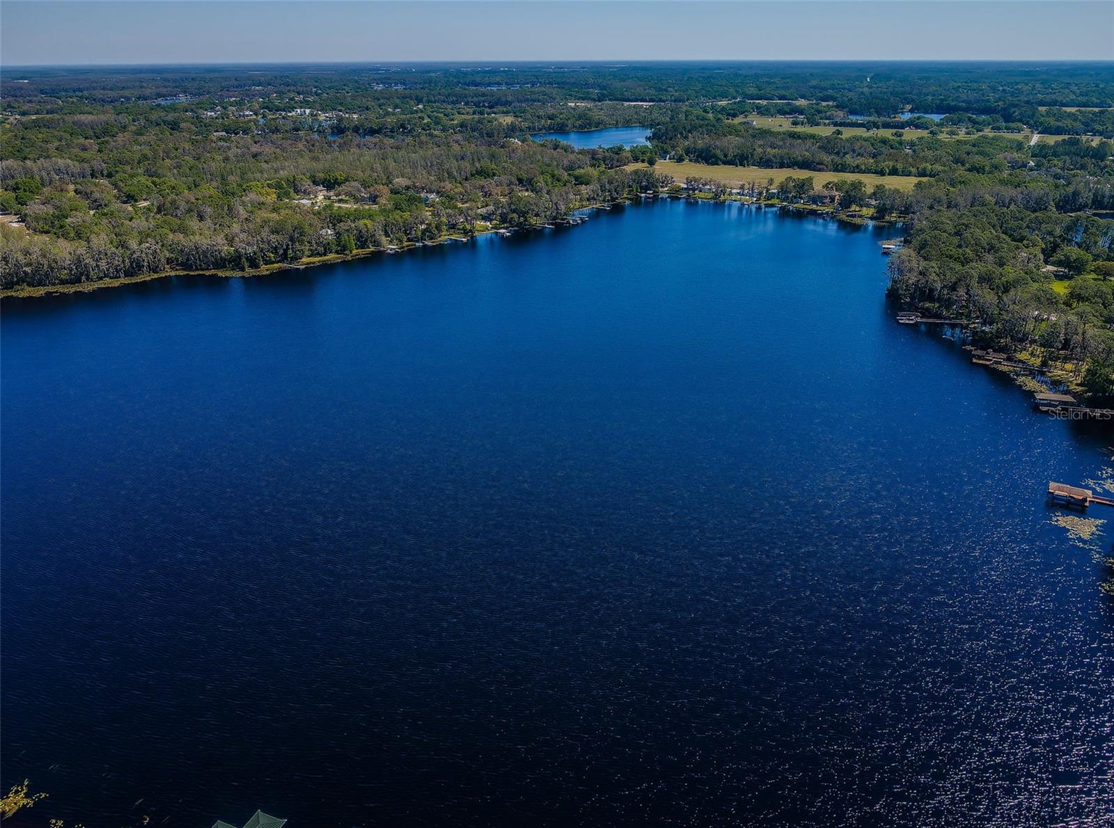 18725 JIRETZ Rd ODESSA, FL 33556