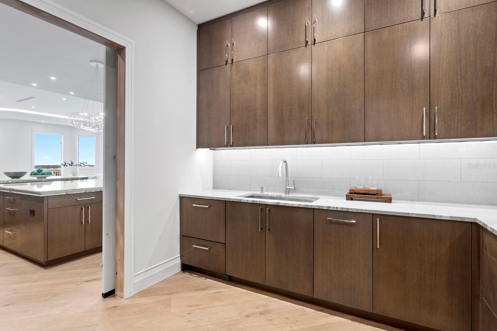 555 5TH Ave #PH1 ST PETERSBURG, FL 33701