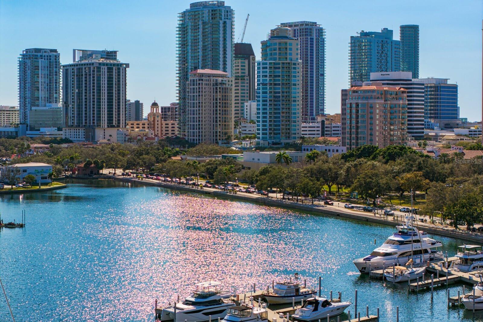 555 5TH Ave #PH1 ST PETERSBURG, FL 33701