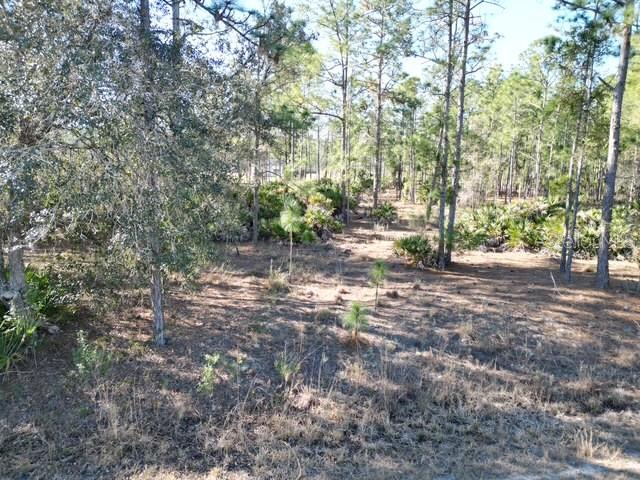 705 LAGUNA Dr INDIAN LAKE ESTATES, FL 33855