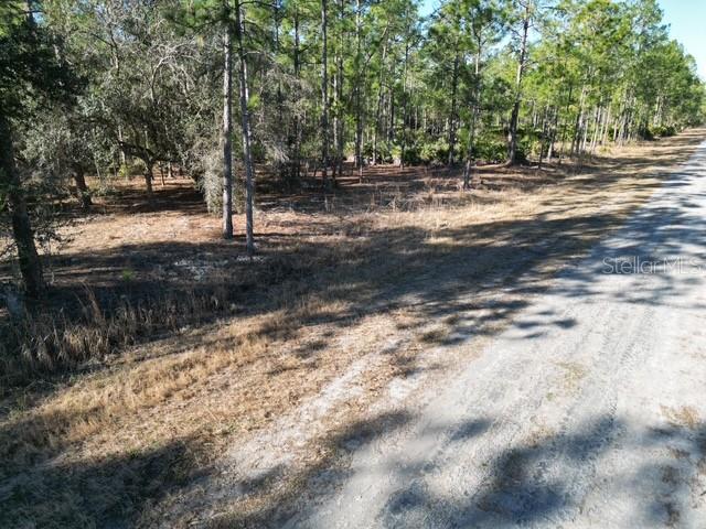 705 LAGUNA Dr INDIAN LAKE ESTATES, FL 33855