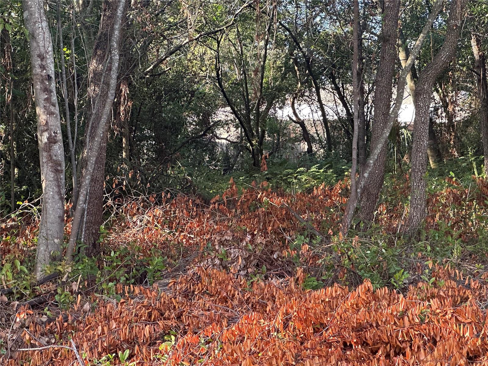 7291 RADCLIFF St SPRING HILL, FL 34606