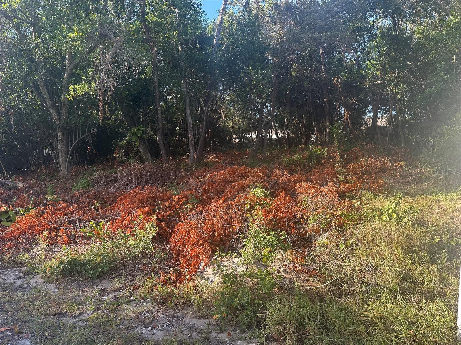 7291 RADCLIFF St SPRING HILL, FL 34606