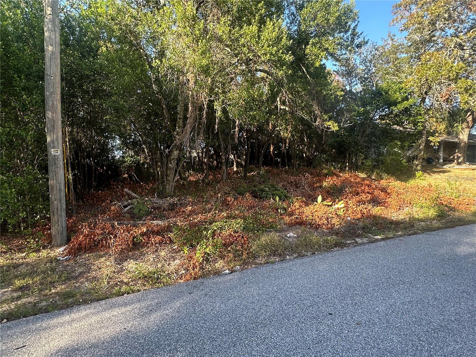 7291 RADCLIFF St SPRING HILL, FL 34606