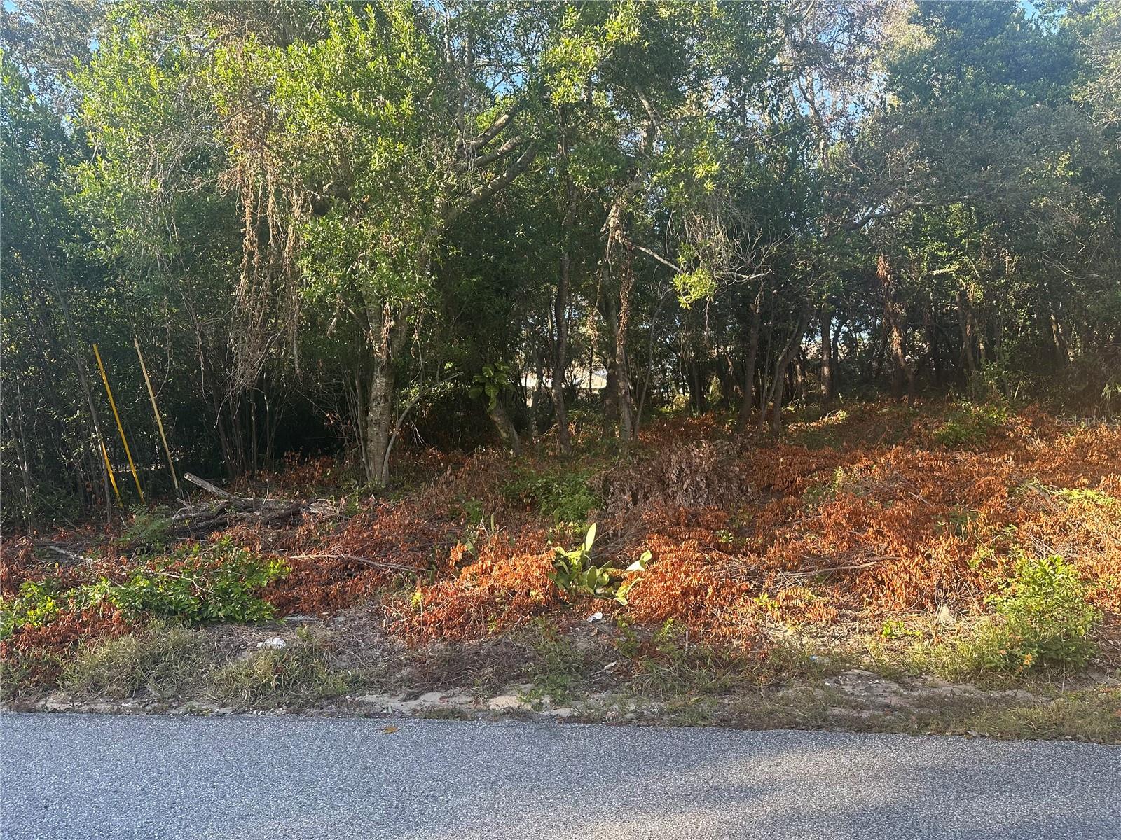 7291 RADCLIFF St SPRING HILL, FL 34606