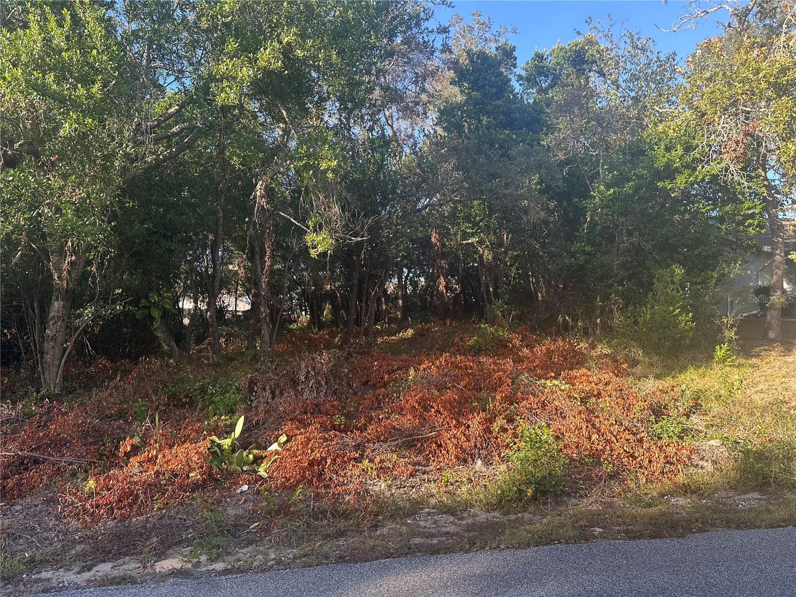 7291 RADCLIFF St SPRING HILL, FL 34606