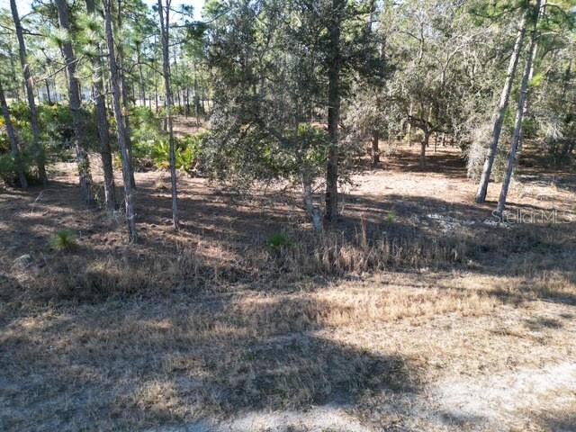 707 LAGUNA Dr INDIAN LAKE ESTATES, FL 33855